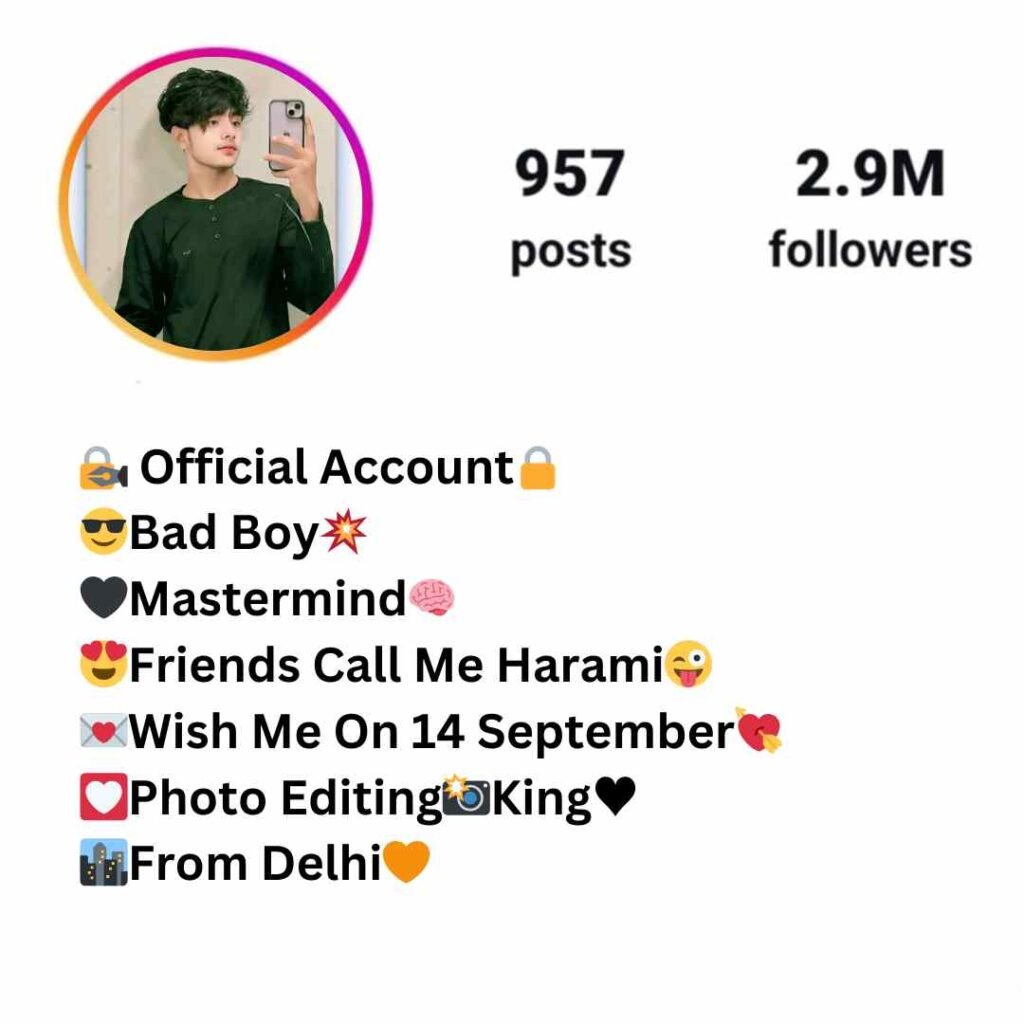 Instagram bio with emoji for boy