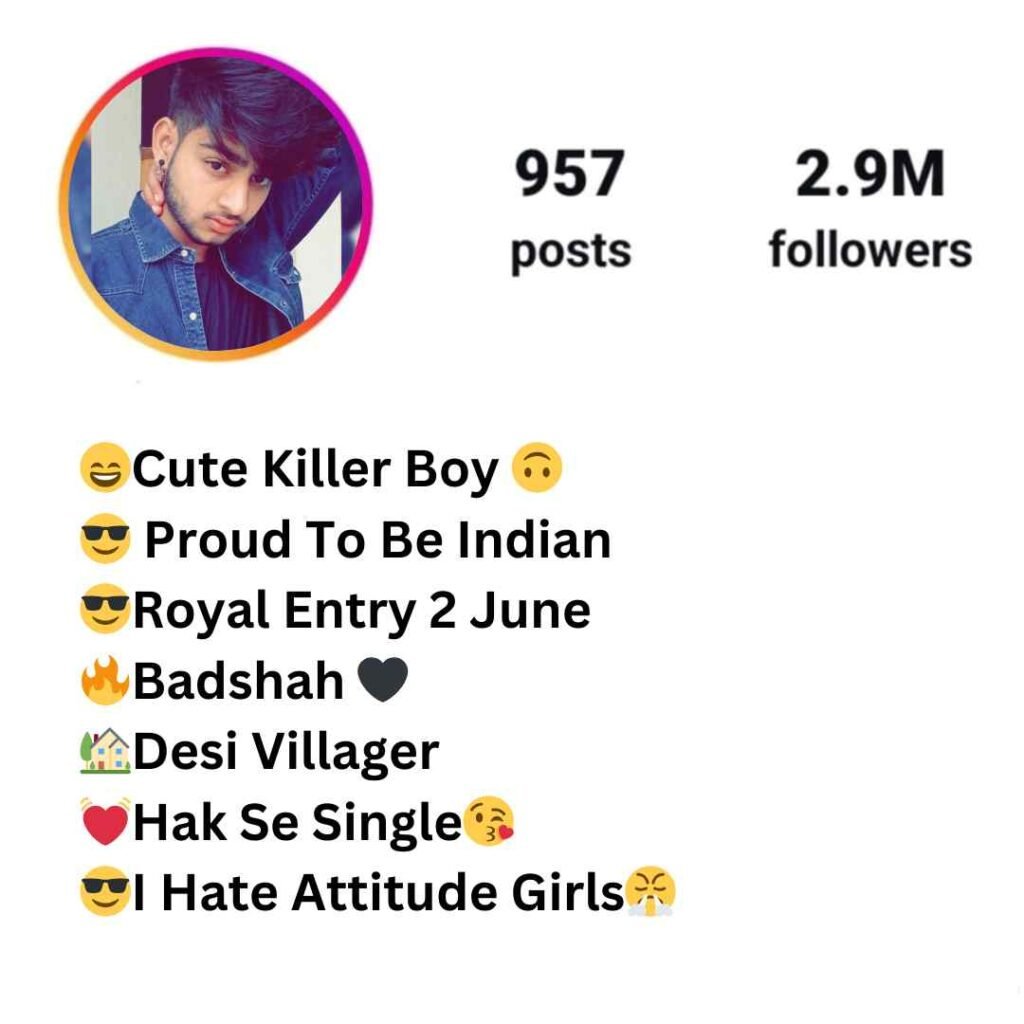 Instagram Bio me kya likhe