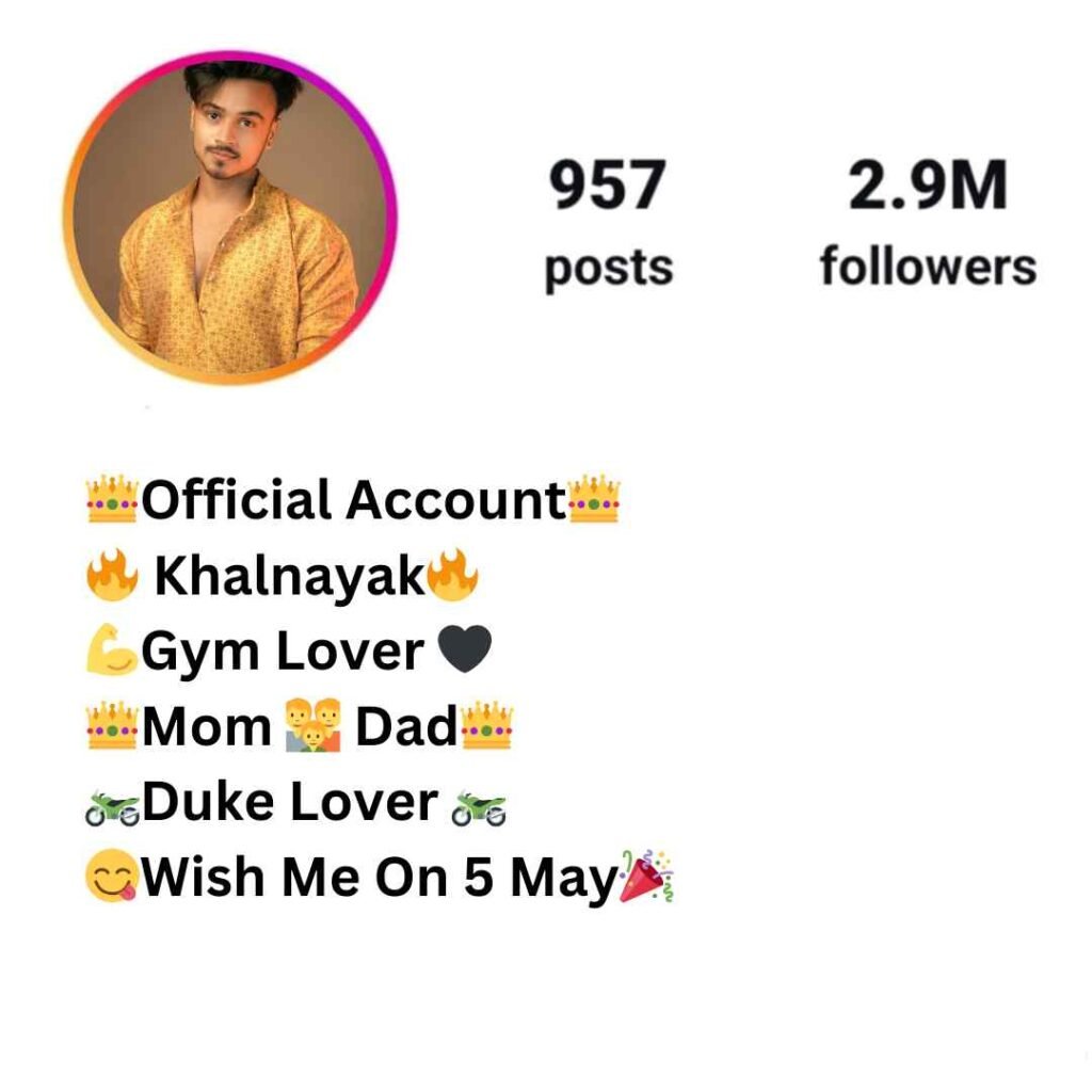 Instagram Bio me kya likhe