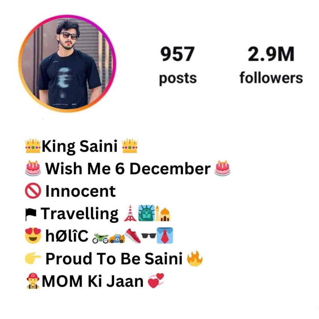 Saini Bio For Instagram